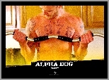 sztanga, Alpha Dog, Justin Timberlake